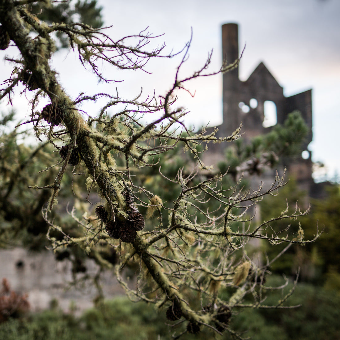 Cement Works Warkworth